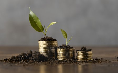 SAVINGS GROUPS MANAGEMENT