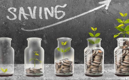 INDIVIDUAL SAVINGS GROWTH ADVISORY